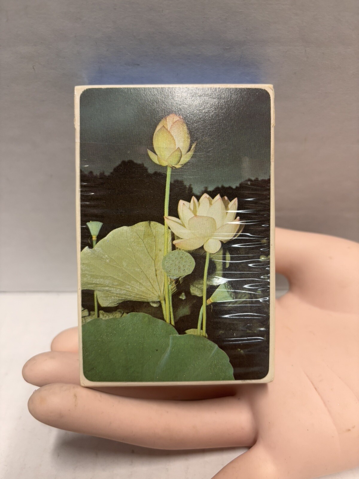 Edible and Poisonous Plant Reference Card Deck for Eastern United States Vintage