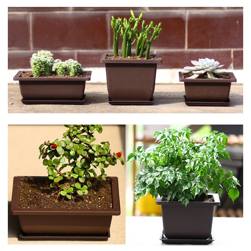 Rectangular Flowerpots Imitation Purple Clay Bonsai Pots Garden Landscape Succul