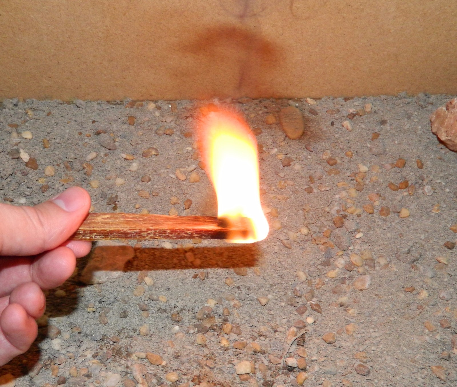 32oz. Outdoor Survival Camping Fatwood Kindling Firestarter Fire Starting Sticks