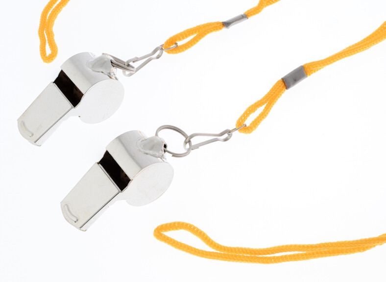 2 Metal Whistle & Lanyard Emergency Survival, Party’s