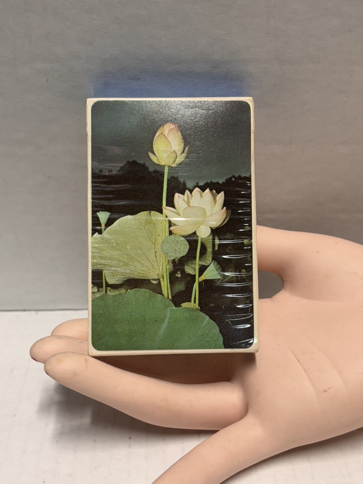 Edible and Poisonous Plant Reference Card Deck for Eastern United States Vintage