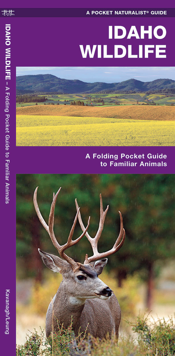 Idaho Wildlife – Birds Fish Camping Survival Outdoor Guide Book Bug Out Bag Kit