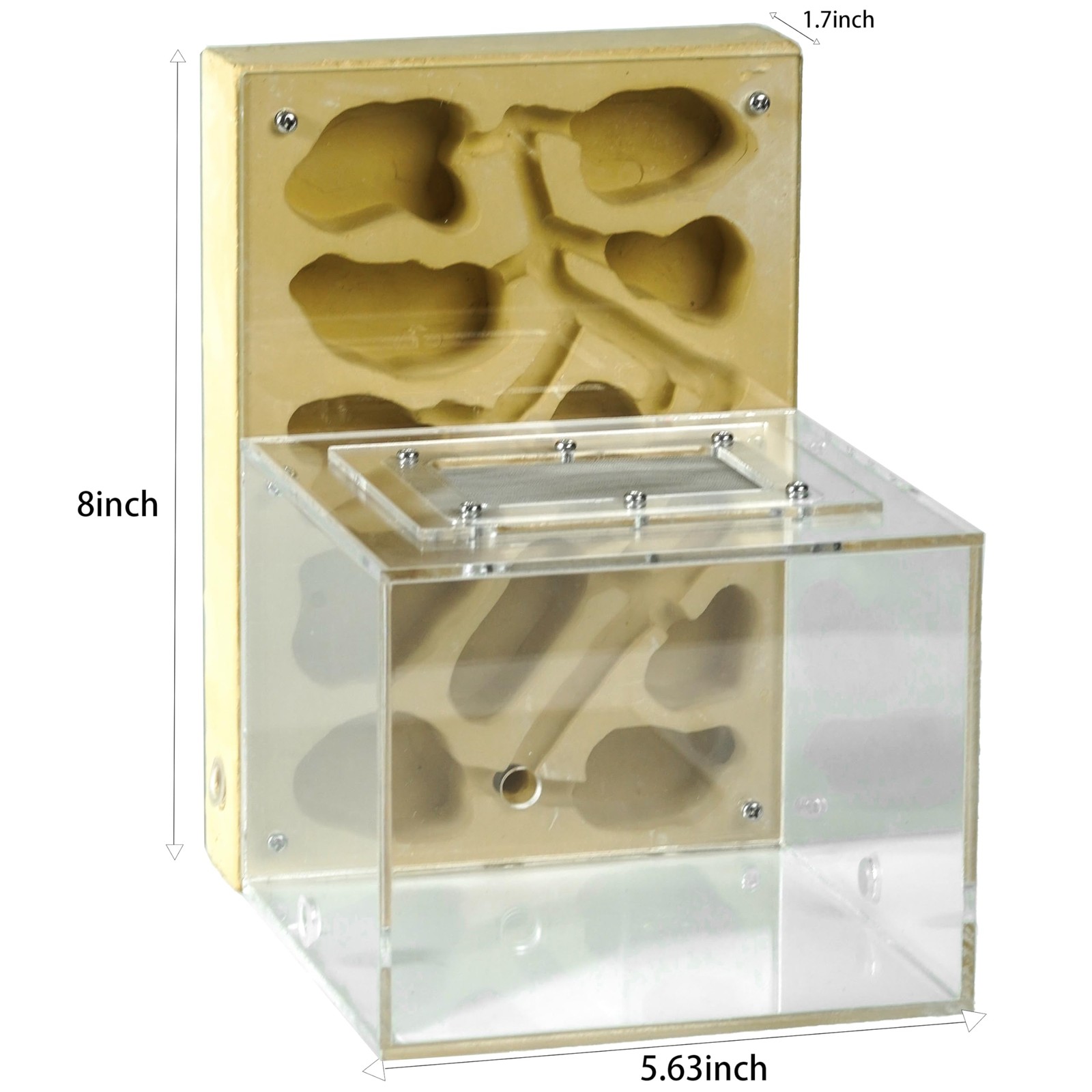 Ant Farm for Live Ants Large Viewing Range Natural Learning Toy…