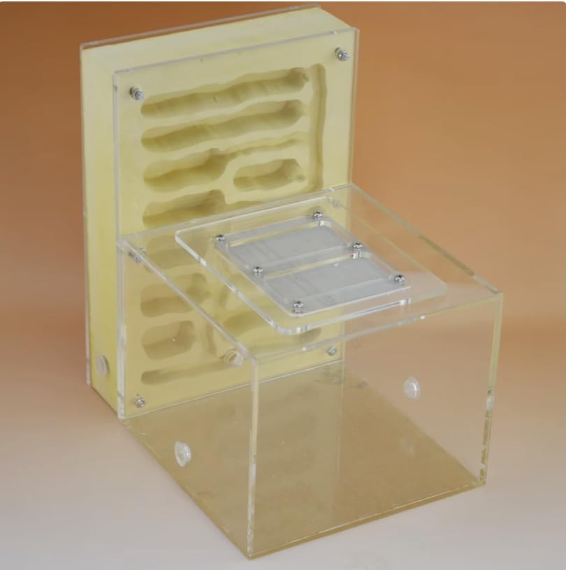 Ant Farm for Live Ants Large Viewing Range Natural Learning Toy…