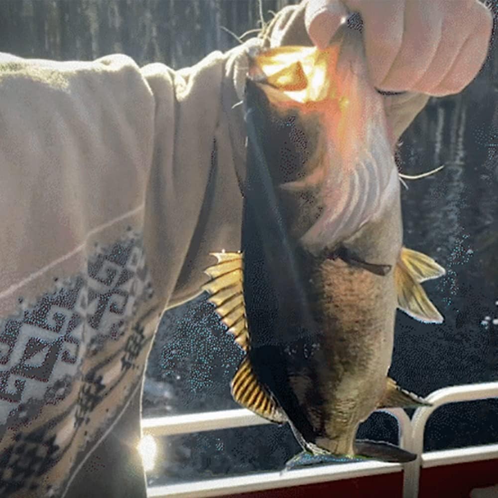 Port Arthur Instant Limb Lines 5-Pack Auto Fishing Device – Lightweight Compact