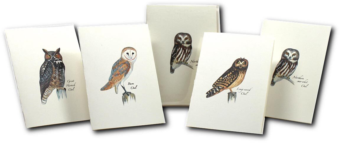 Earth Sky+Water Nature Note Cards – Set of Owl Notecards, Perfect for Gifts