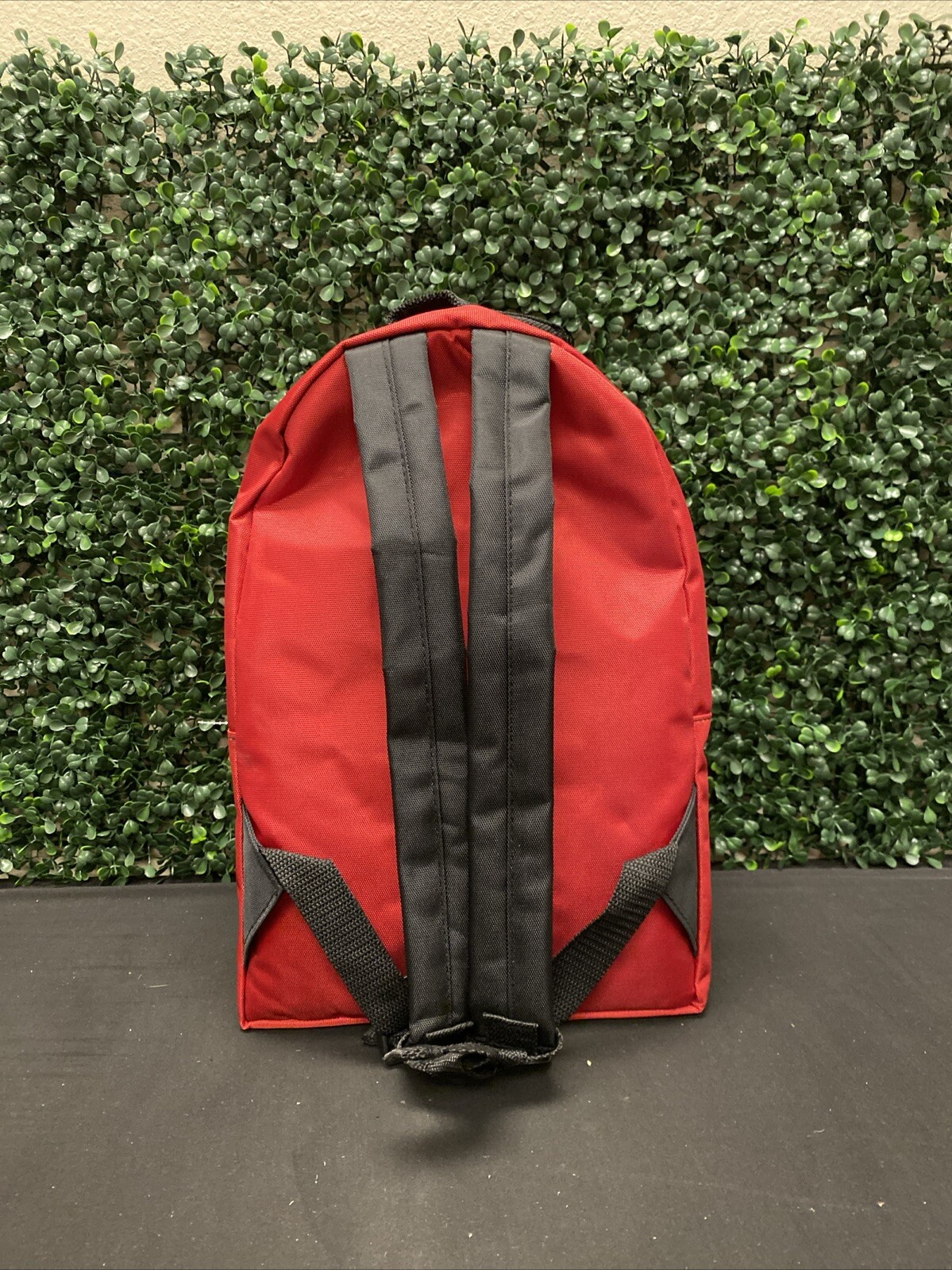 Ready America 1 Person 3 Day Emergency Backpack,18 Pieces, 5 Year Shelf Life