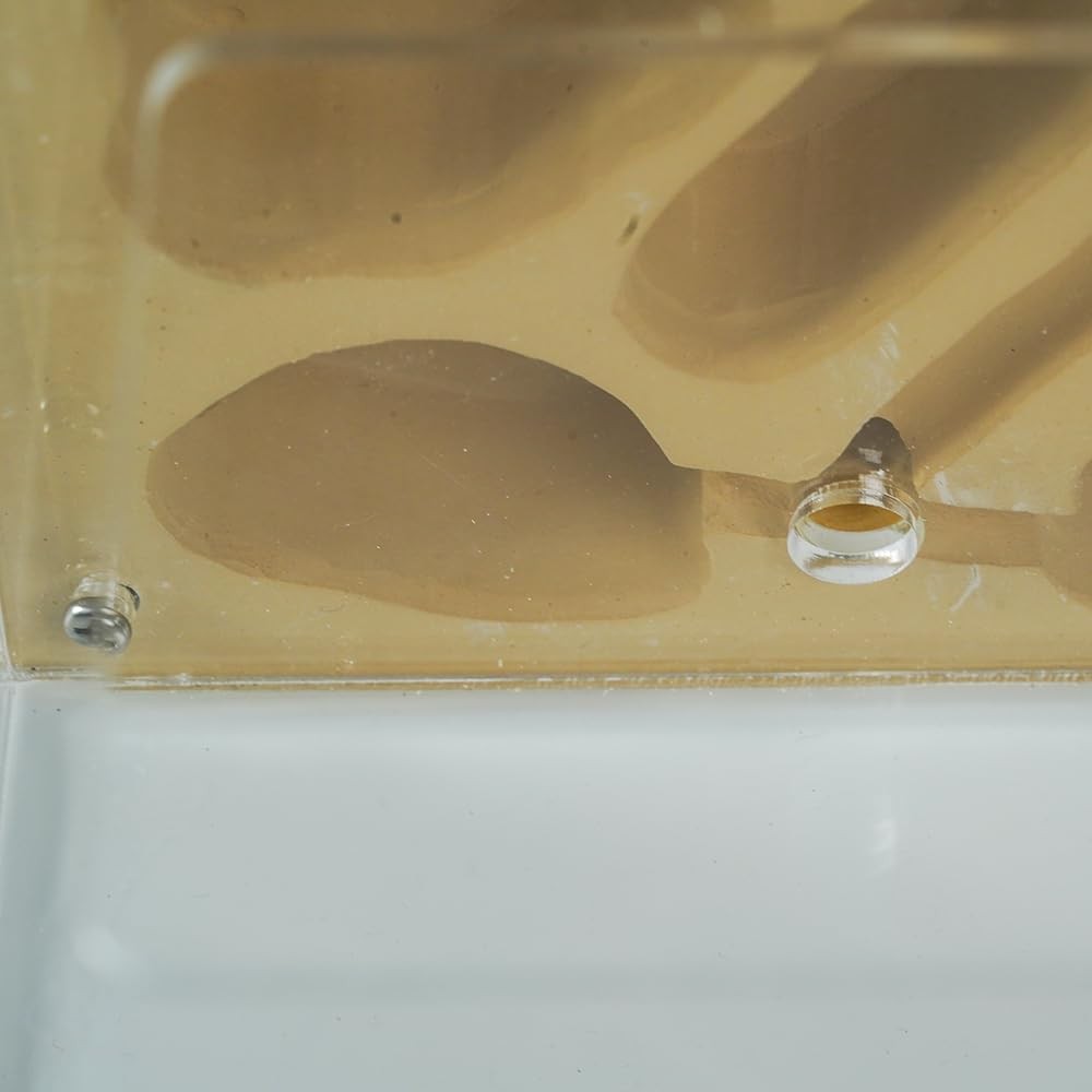 Ant Farm for Live Ants Large Viewing Range Natural Learning Toy…
