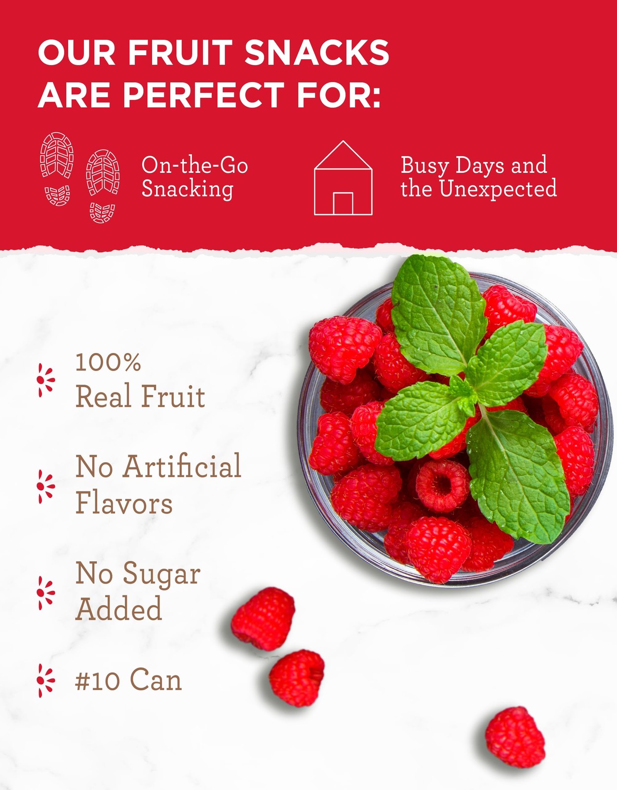 READYWISE – Simple Kitchen Freeze Dried Raspberries, 22 22 Serving Can