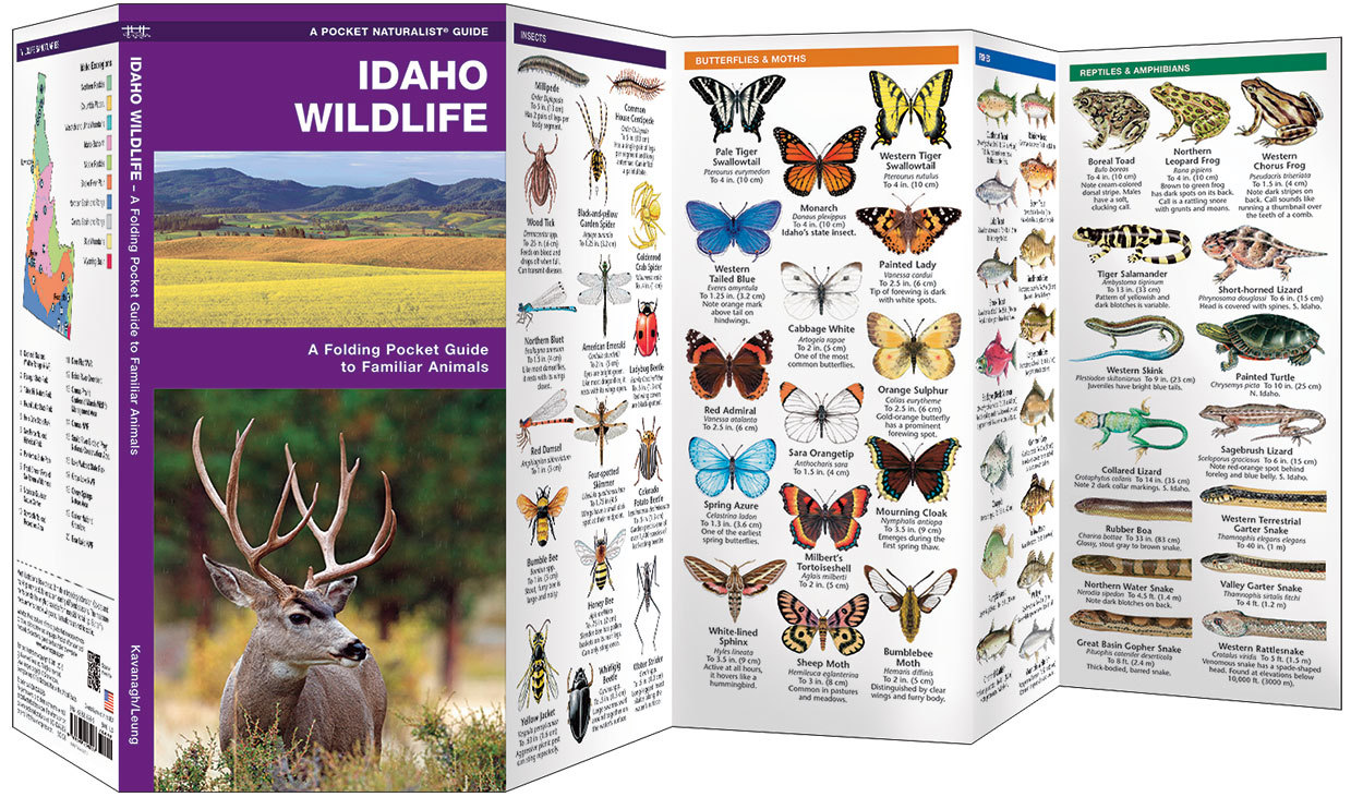 Idaho Wildlife – Birds Fish Camping Survival Outdoor Guide Book Bug Out Bag Kit