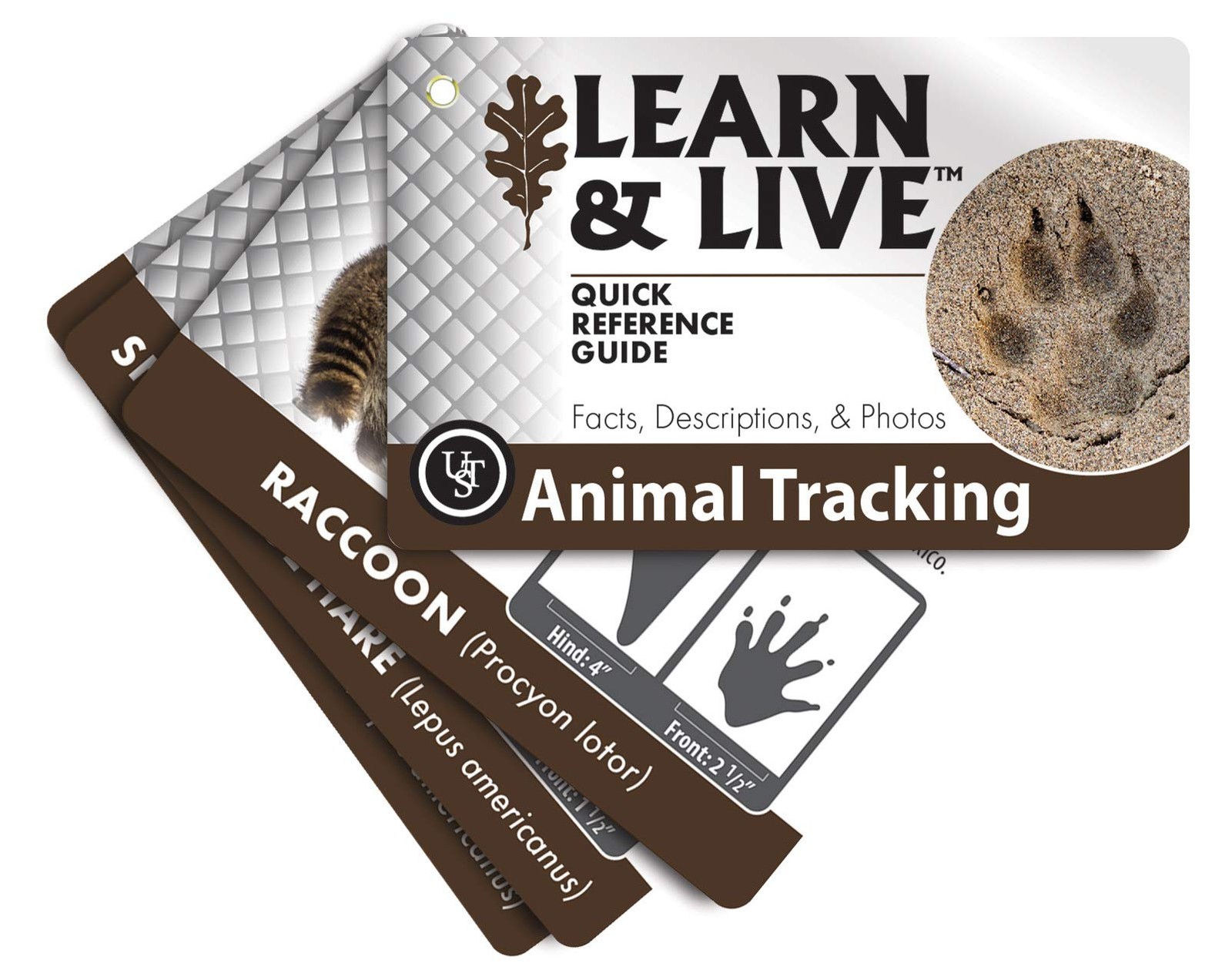 UST Learn & Live Educational Card Set – Animal Tracking