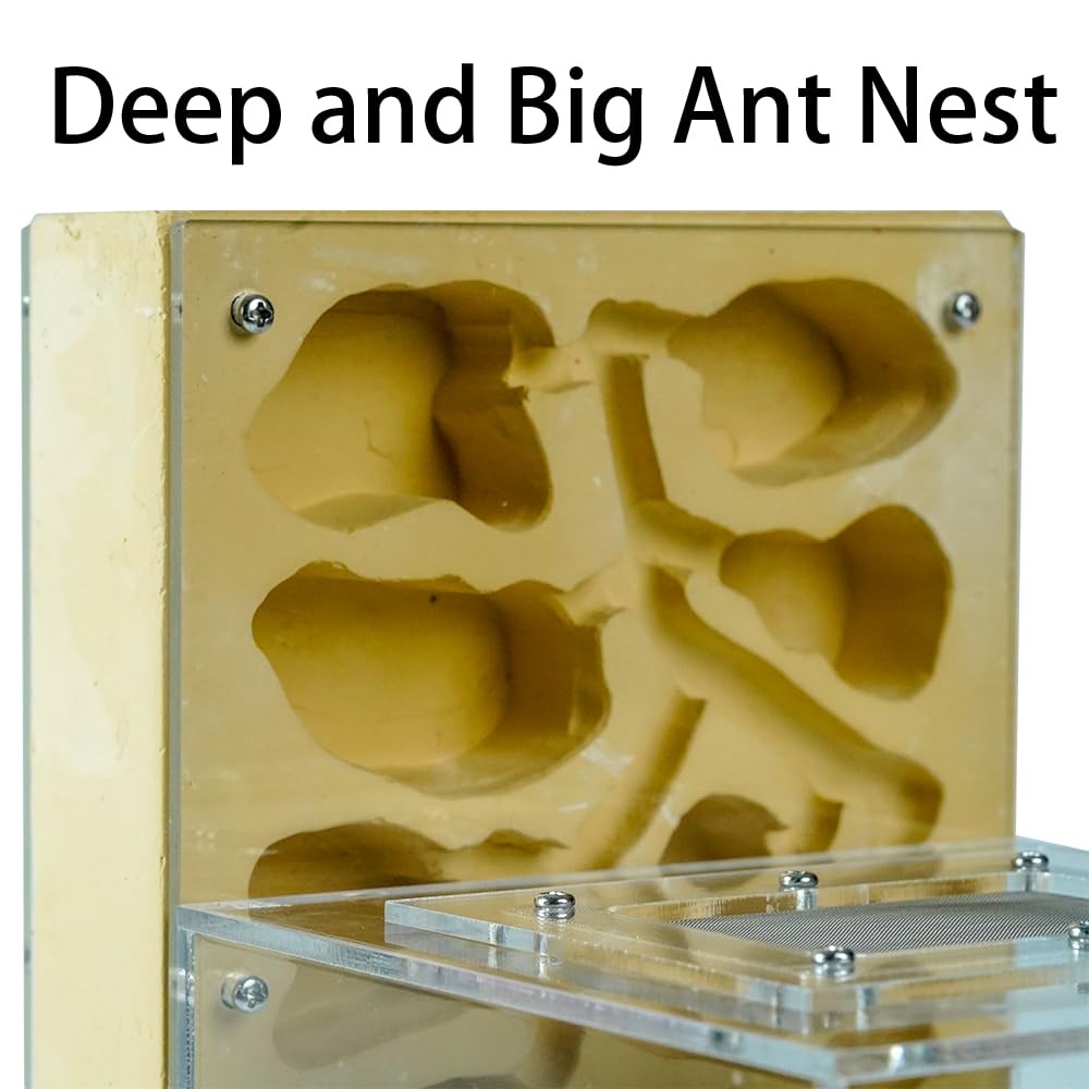 Ant Farm for Live Ants Large Viewing Range Natural Learning Toy…