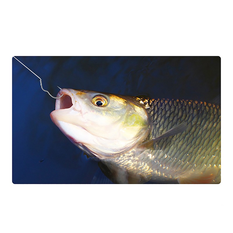 Fishing Hook Sharp Barbless Automatic Flip 12Pcs/Pack Fishhook For Carp Fishing