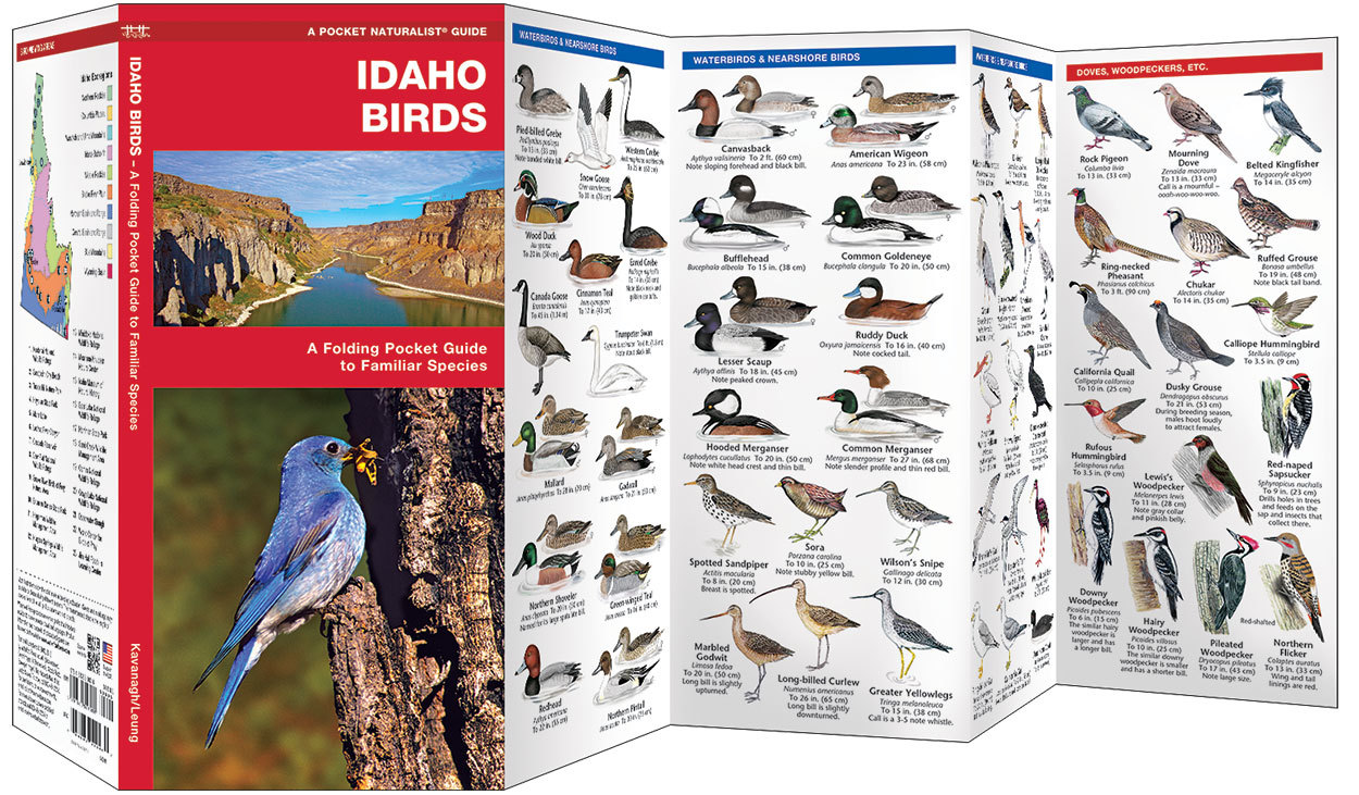Idaho Birds – Camping Survival Outdoor Guide Book Bug Out Bag Kit