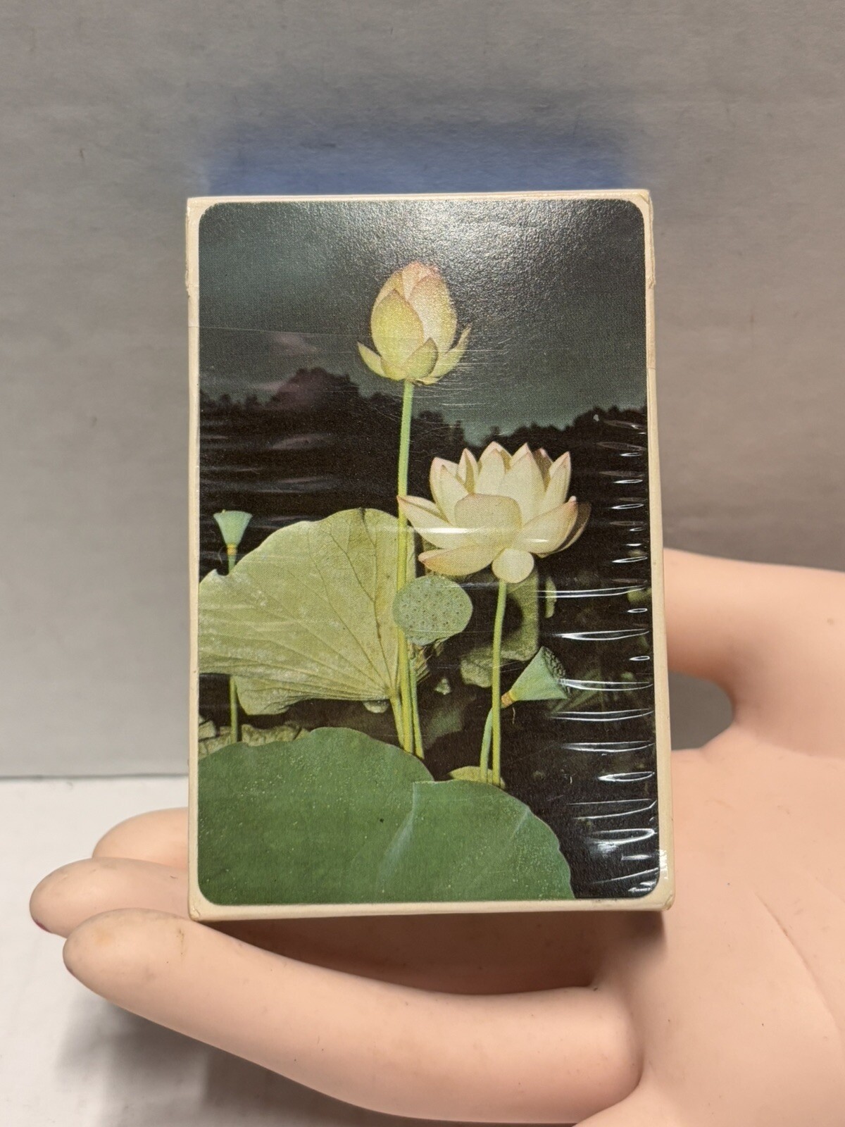 Edible and Poisonous Plant Reference Card Deck for Eastern United States Vintage