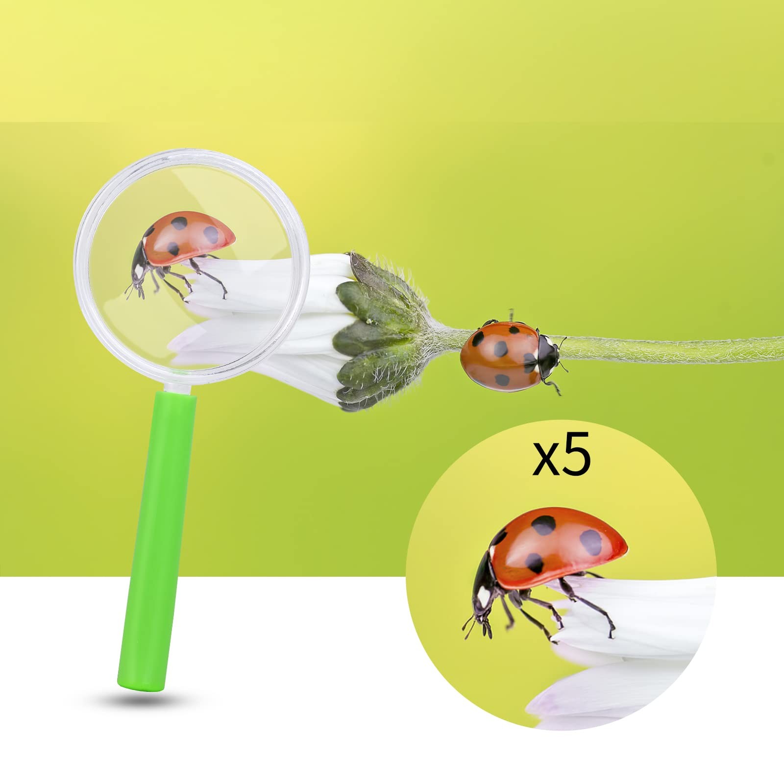 12pcs Magnifiers Kids Magnifiers Toy Giveaway for Kids Plastic Acry…