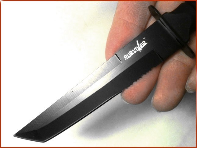 Fixed Blade Samurai Katana Tanto Style Knife + Bear Claw Karambit w Leather