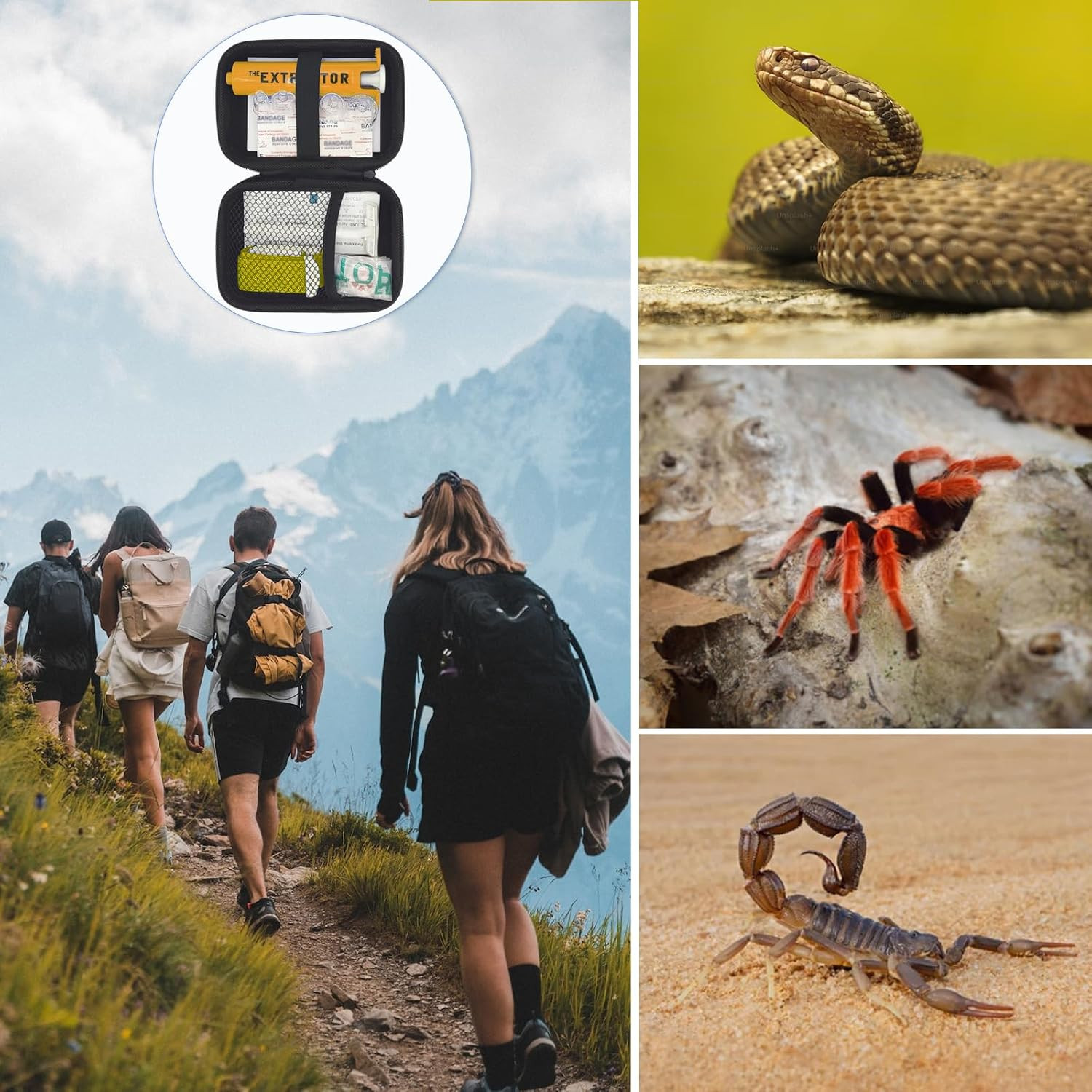 Snake Bite Kit for Humans,Rattlesnake Bite Kit,Bee Sting Kit, Venom Snake Bite K