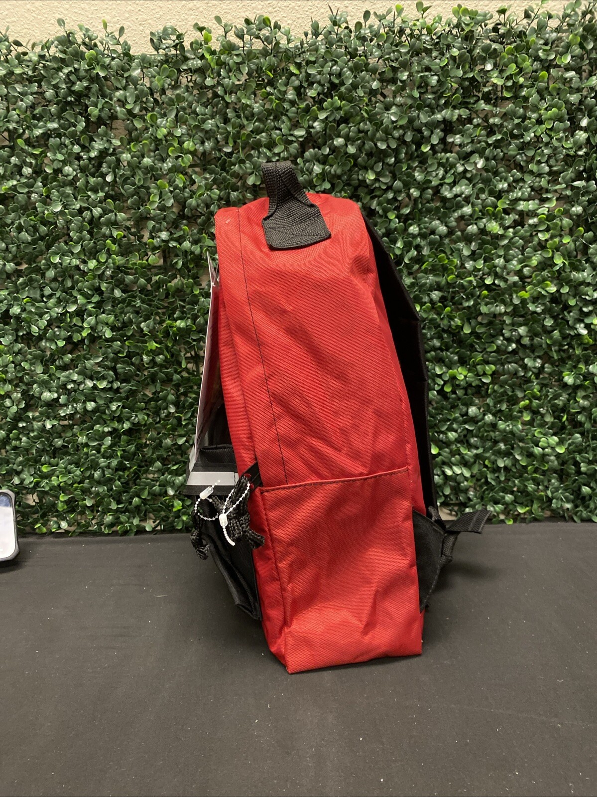 Ready America 1 Person 3 Day Emergency Backpack,18 Pieces, 5 Year Shelf Life