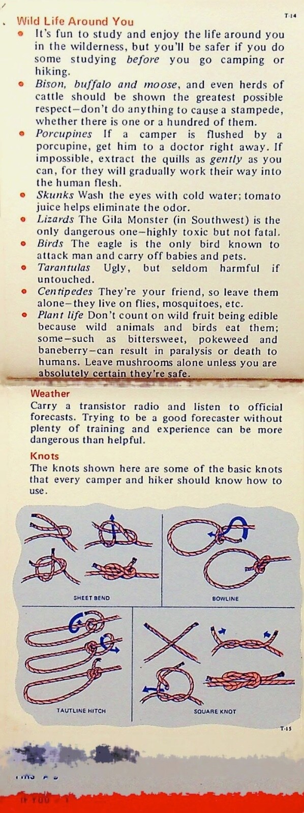 1973 Copco Papers “Camping & Hiking Guide” – T-144