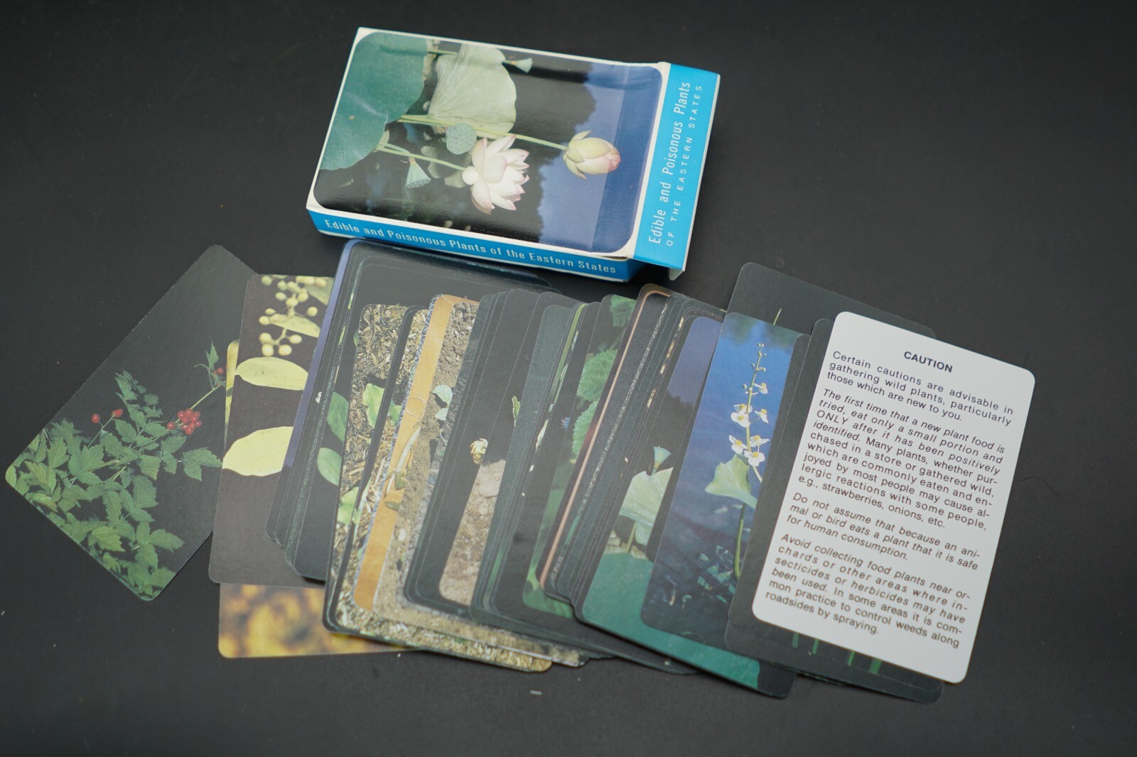 Edible & Poisonous Plant Reference Card Deck for Eastern United States, NOS