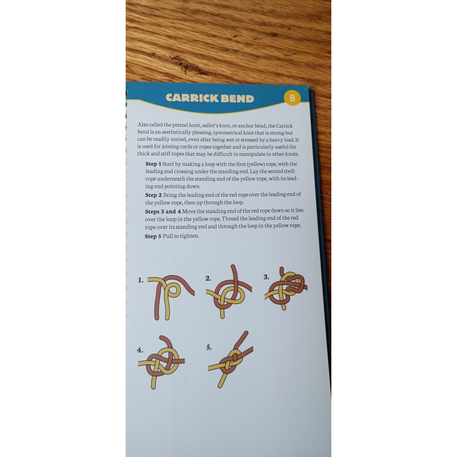 Essential Knots Adventure Skills Guide Karen Berger Spiral Bound Outdoor Book