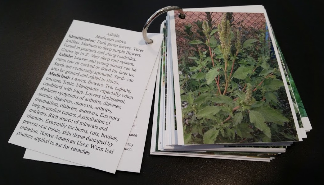 Wild Herb Card Decks