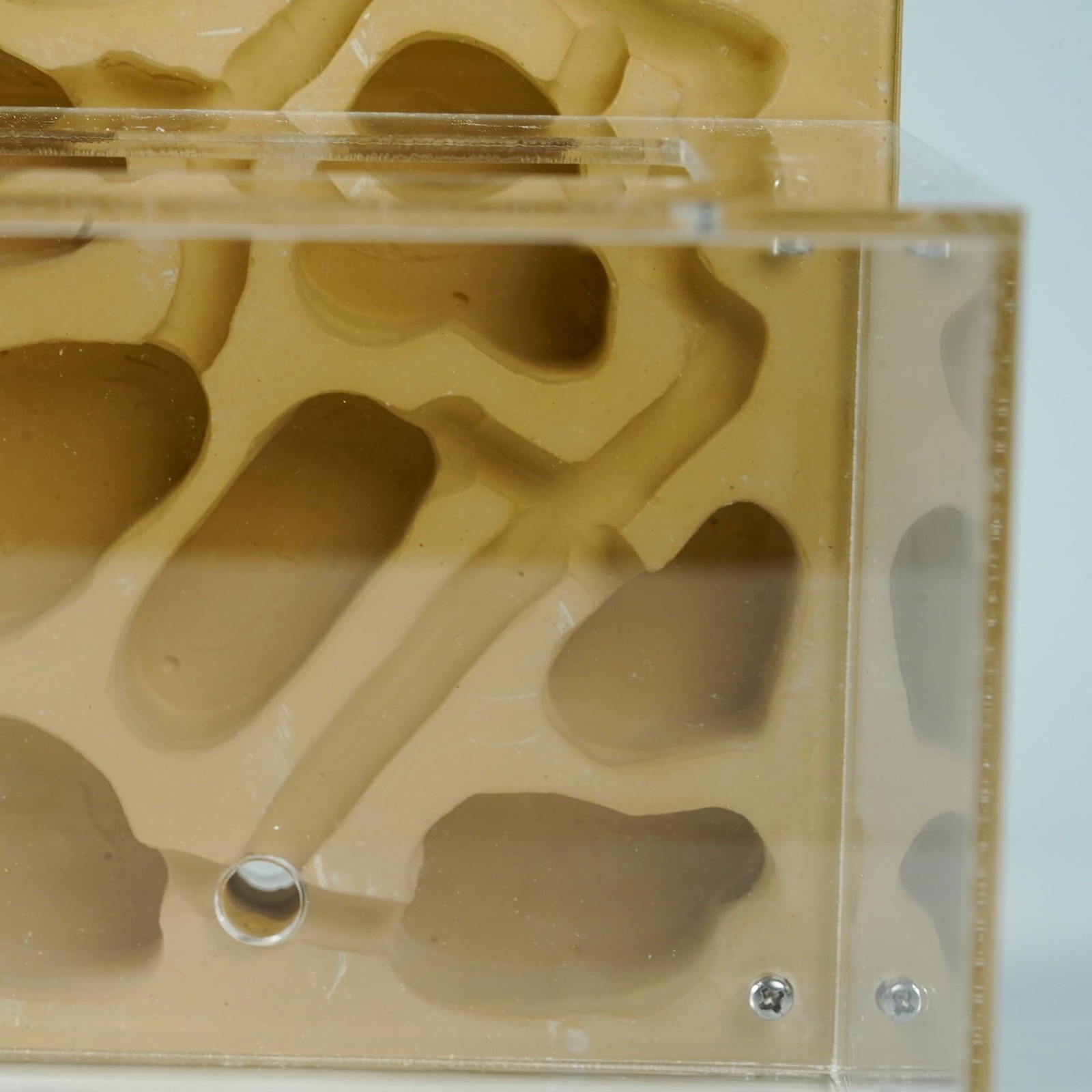 Ant Farm for Live Ants Large Viewing Range Natural Learning Toy…