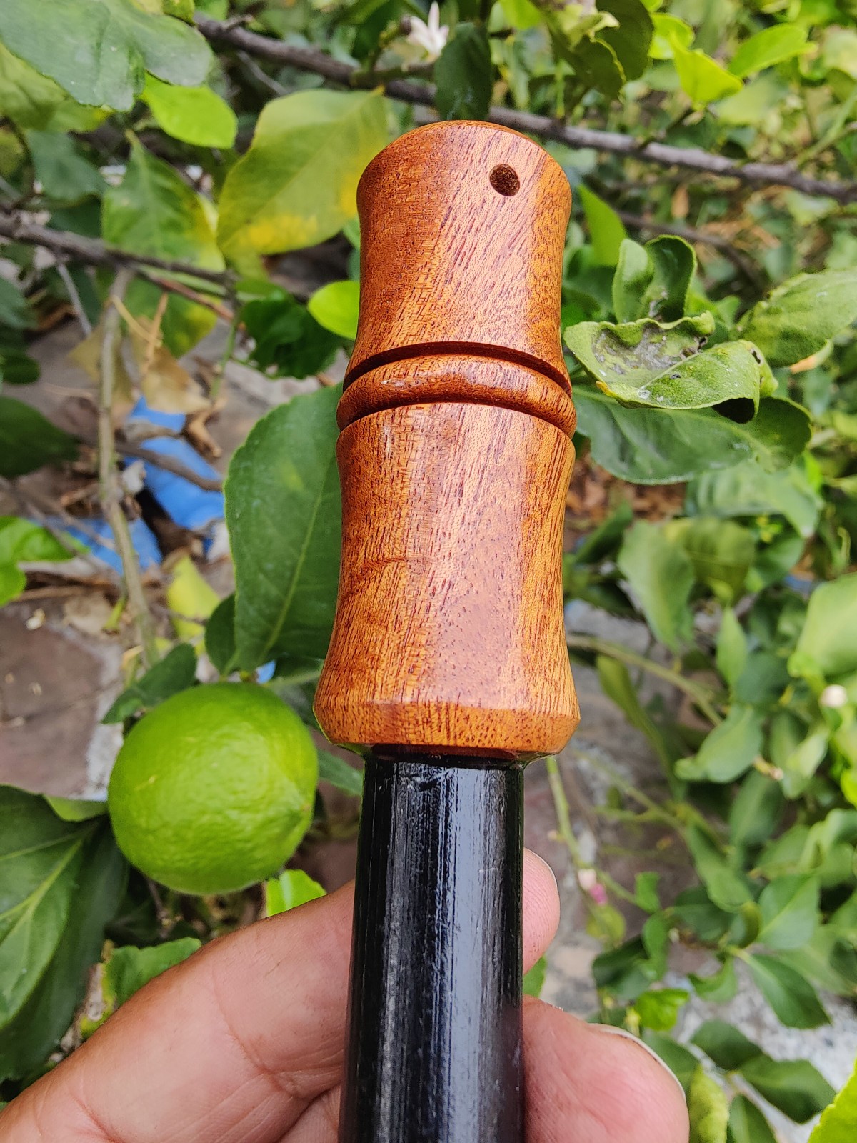 (20 mm) 13/16″ x 5 ” ferrocerium rod exotic wood handle | Ferro rod | mischmetal