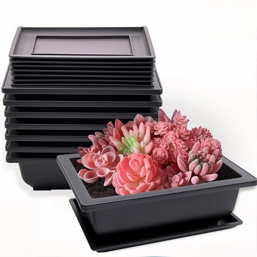 8 Pack Bonsai Training Pots with Drainage Trays, 9 Inch Plastic Bonsai Tree Pot