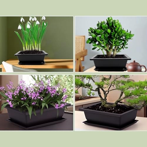 8 Pack Bonsai Training Pots with Drainage Trays, 9 Inch Plastic Bonsai Tree Pot