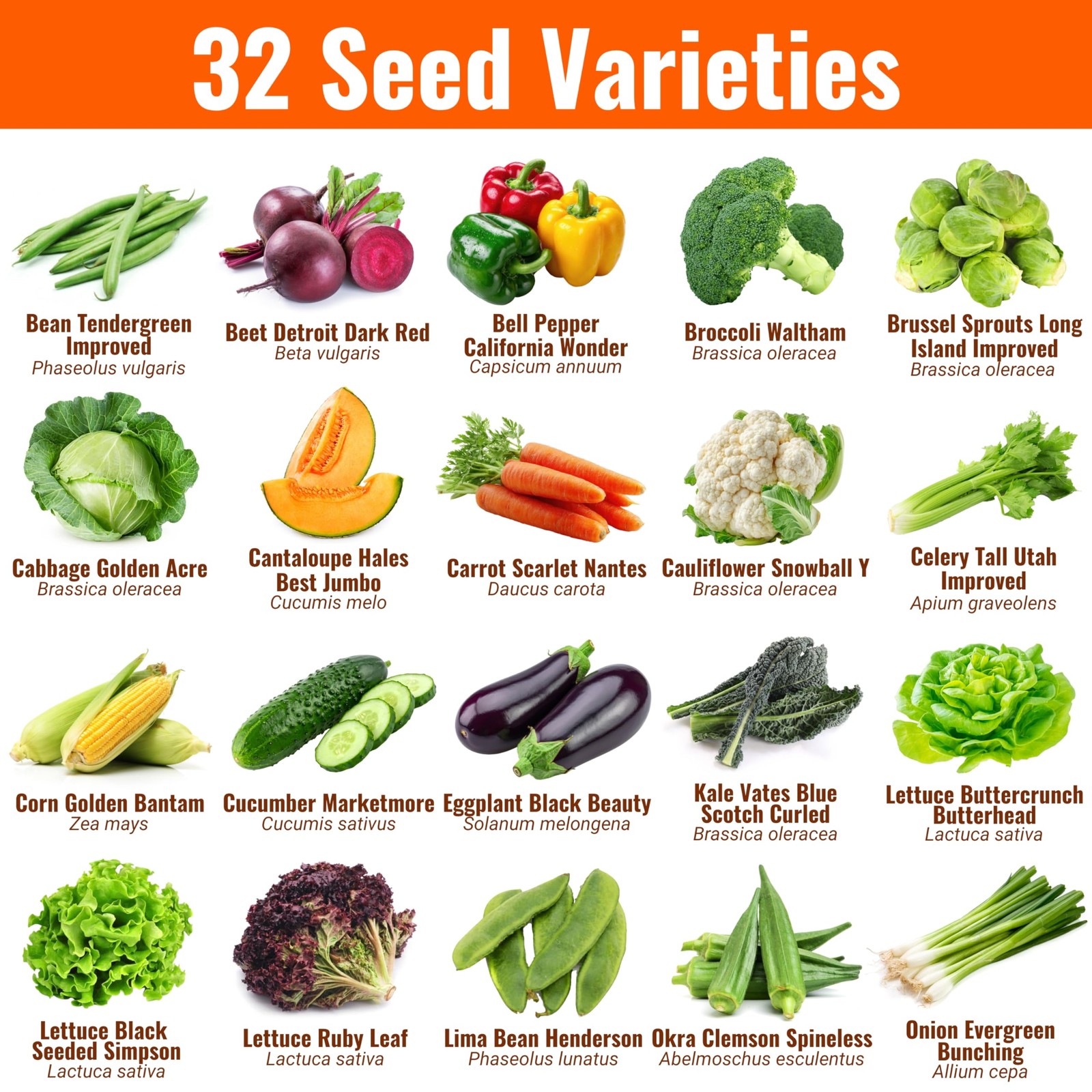 |15,000 Heirloom Seeds | 32 Seed Types | Survival Seeds | 2026 Season | Non G…