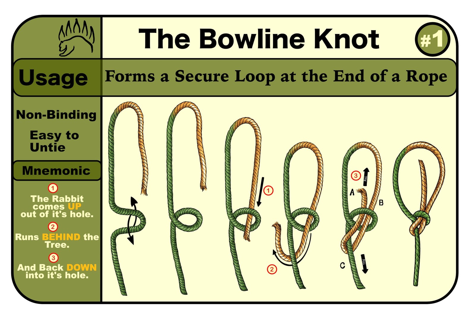 Knot Tying Kit | Camping & Outdoor Knots – by w/Waterproof Knot Tying Cards, …