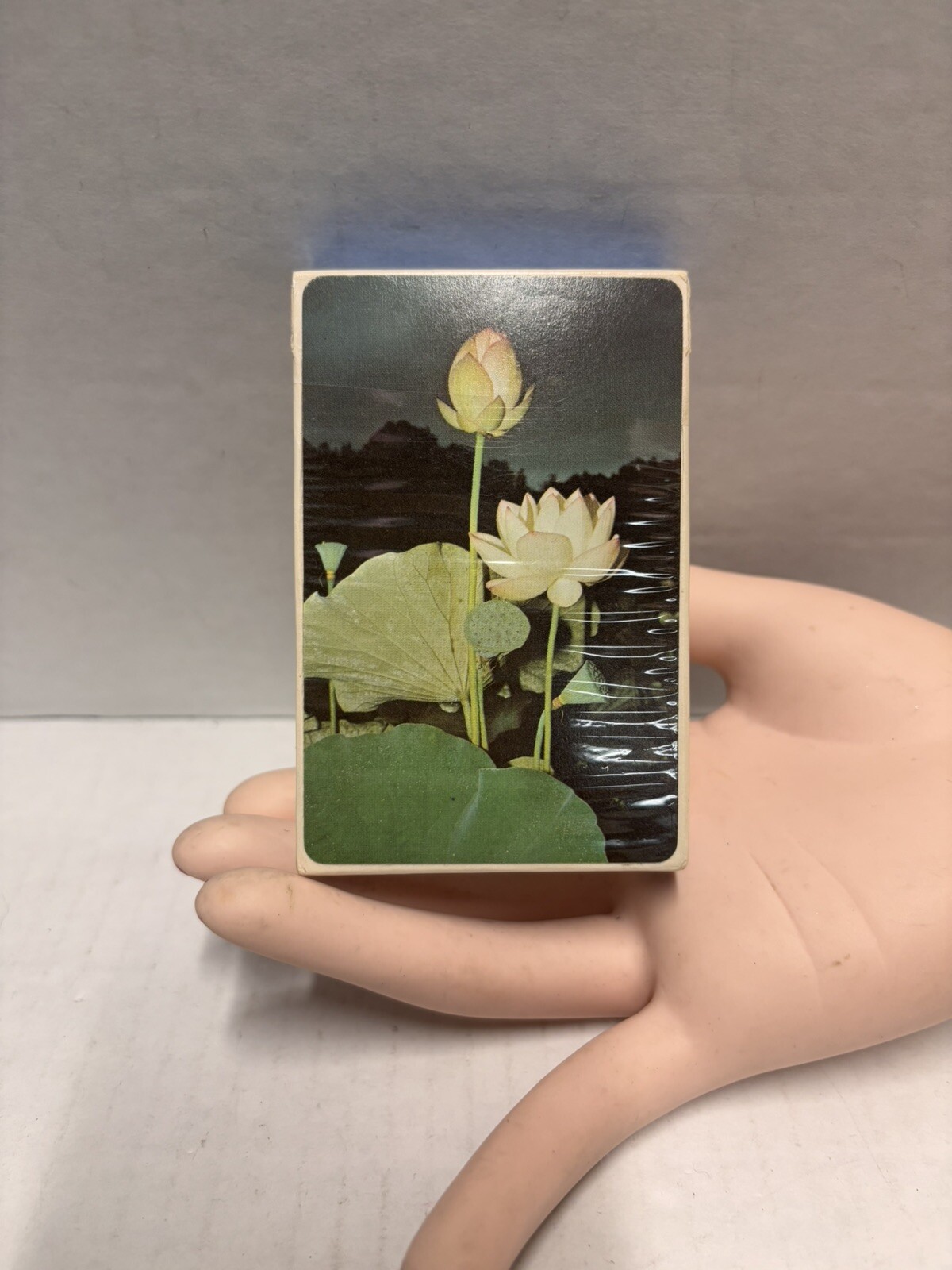 Edible and Poisonous Plant Reference Card Deck for Eastern United States Vintage