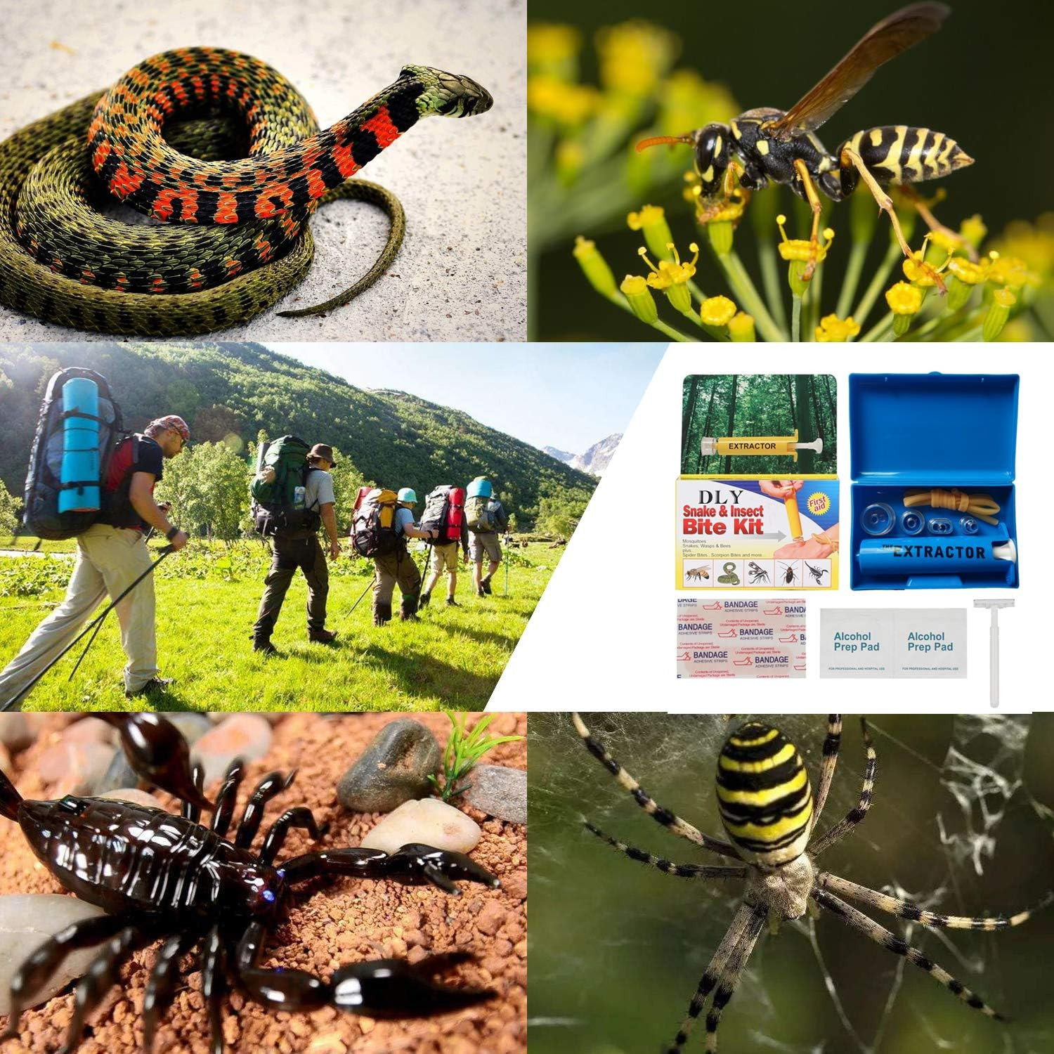 Snake Bite Kit, Bee Sting Kit, Emergency First Aid Supplies, Venom Extractor Suc