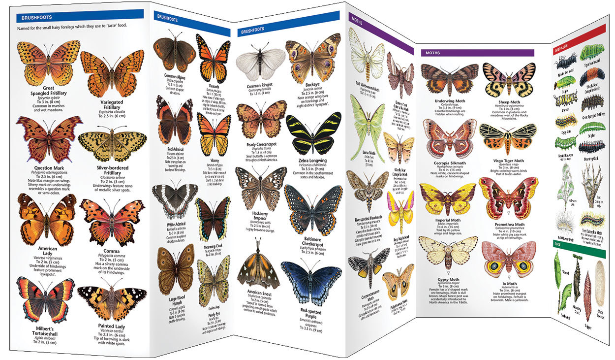 Butterflies & Moths – Camping Emergency Survival Guide Bug Out Bag Kit Book