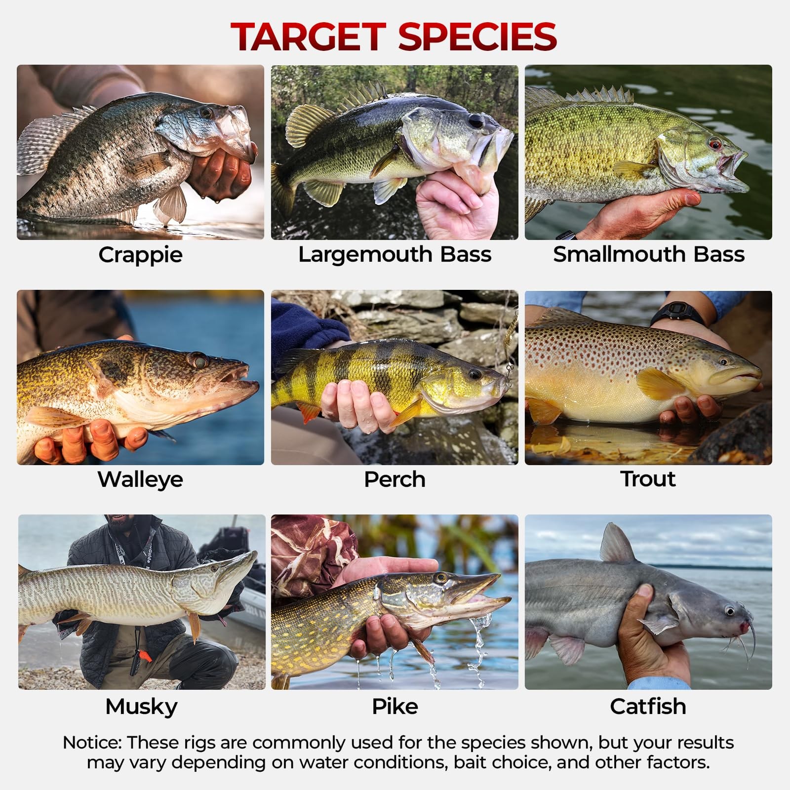 MadBite by KastKing 400-Pieces Freshwater Terminal Tackle Kit, Endorsed by…