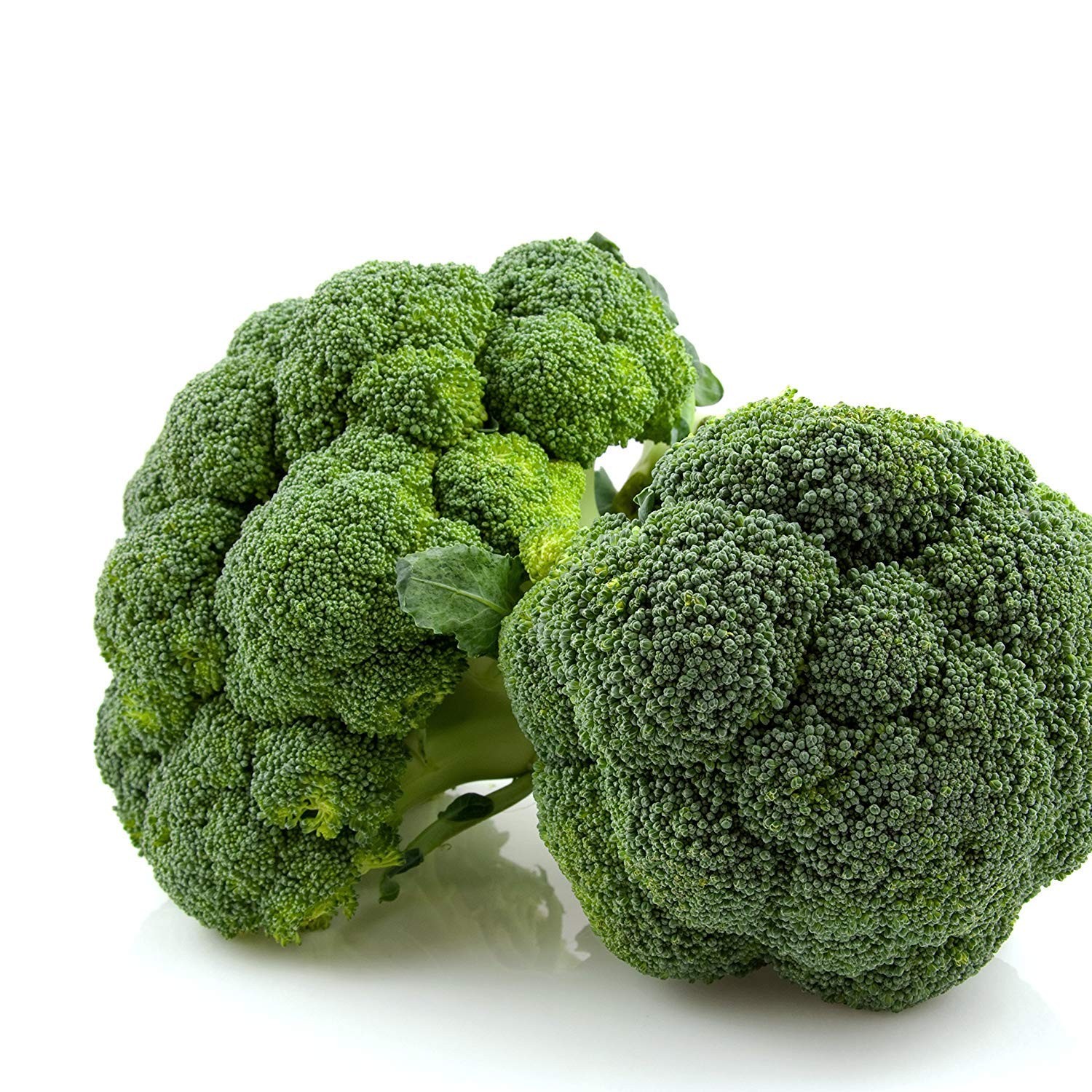 Freeze Dried Broccoli Florets and Stems Emergency Food Supply, 34 6 oz, White