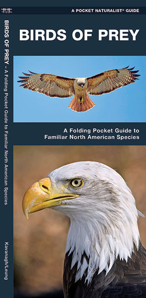Birds of Prey Eagles Falcons – Emergency Survival Guide Bug Out Bag Kit Book