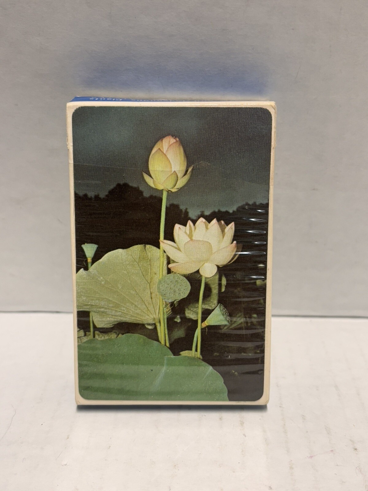 Edible and Poisonous Plant Reference Card Deck for Eastern United States Vintage