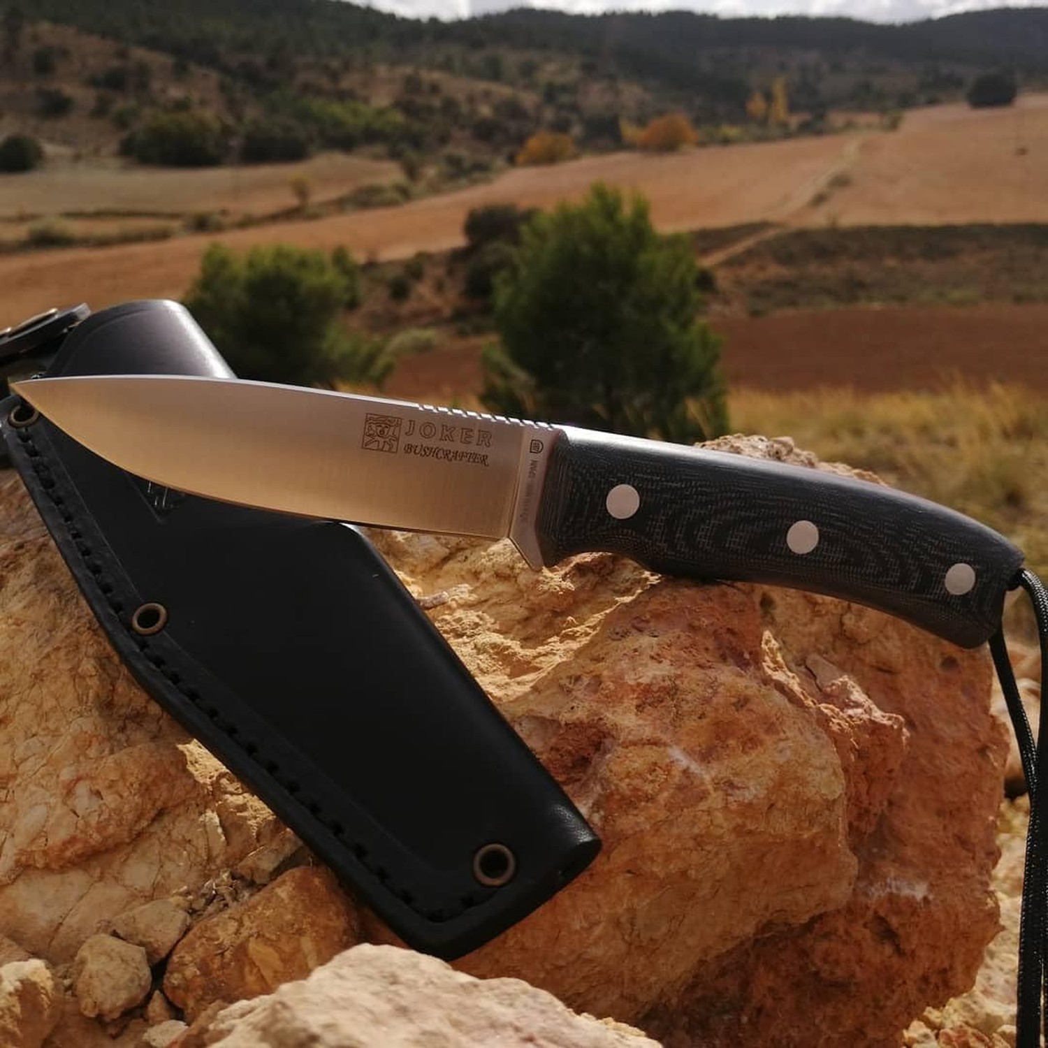Joker Bushcraft Bushcrafter Survival knife CM120, black leather Sheath, 4.13 …