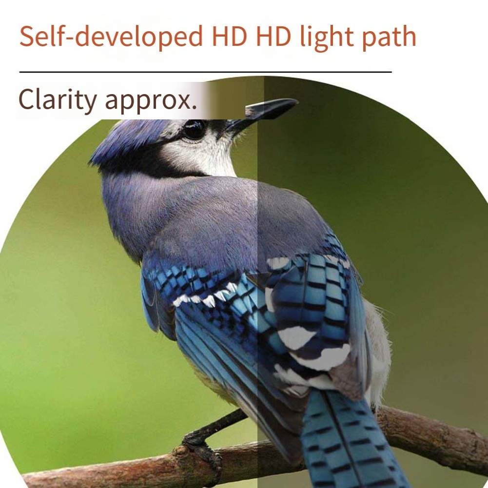 Lightweight 12×50 Binoculars for Wildlife Watching in Low Light Environments