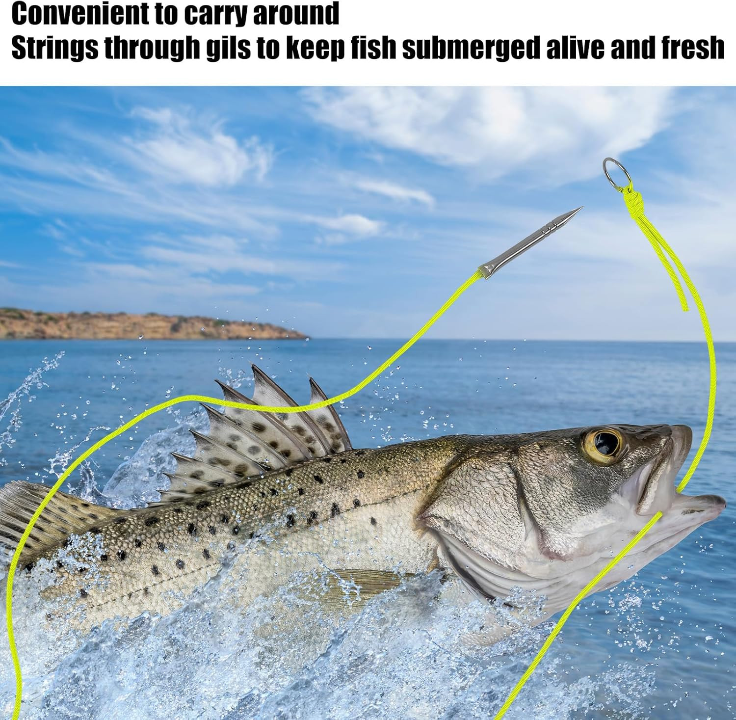 10 Ft Paracord Fishing Stringer Set – 2 Pieces, 550Lb Capacity, Split Ring