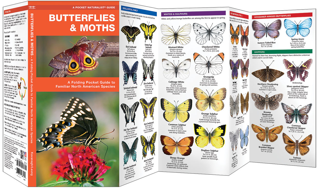 Butterflies & Moths – Camping Emergency Survival Guide Bug Out Bag Kit Book