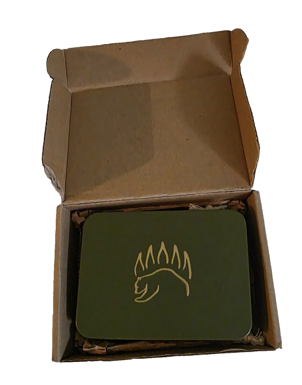 The Bear Essentials Knot Tying Kit – [Camping Knots Edition]