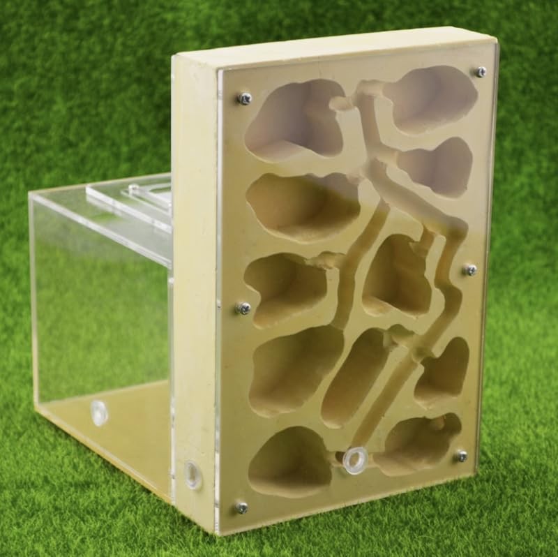 Ant Farm for Live Ants Large Viewing Range Natural Learning Toy…