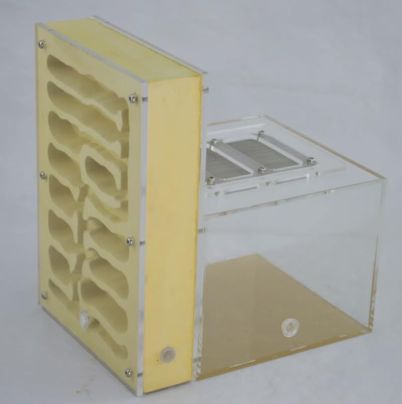 Ant Farm for Live Ants Large Viewing Range Natural Learning Toy…