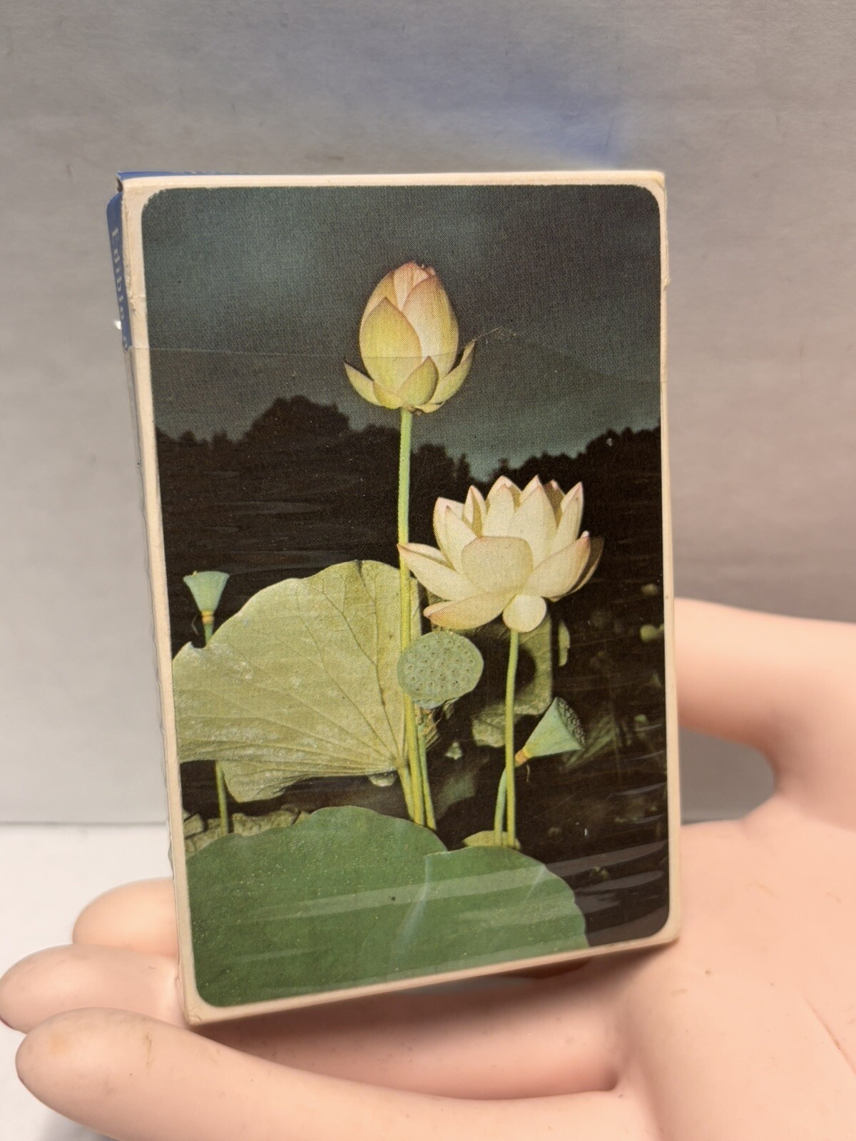 Edible and Poisonous Plant Reference Card Deck for Eastern United States Vintage