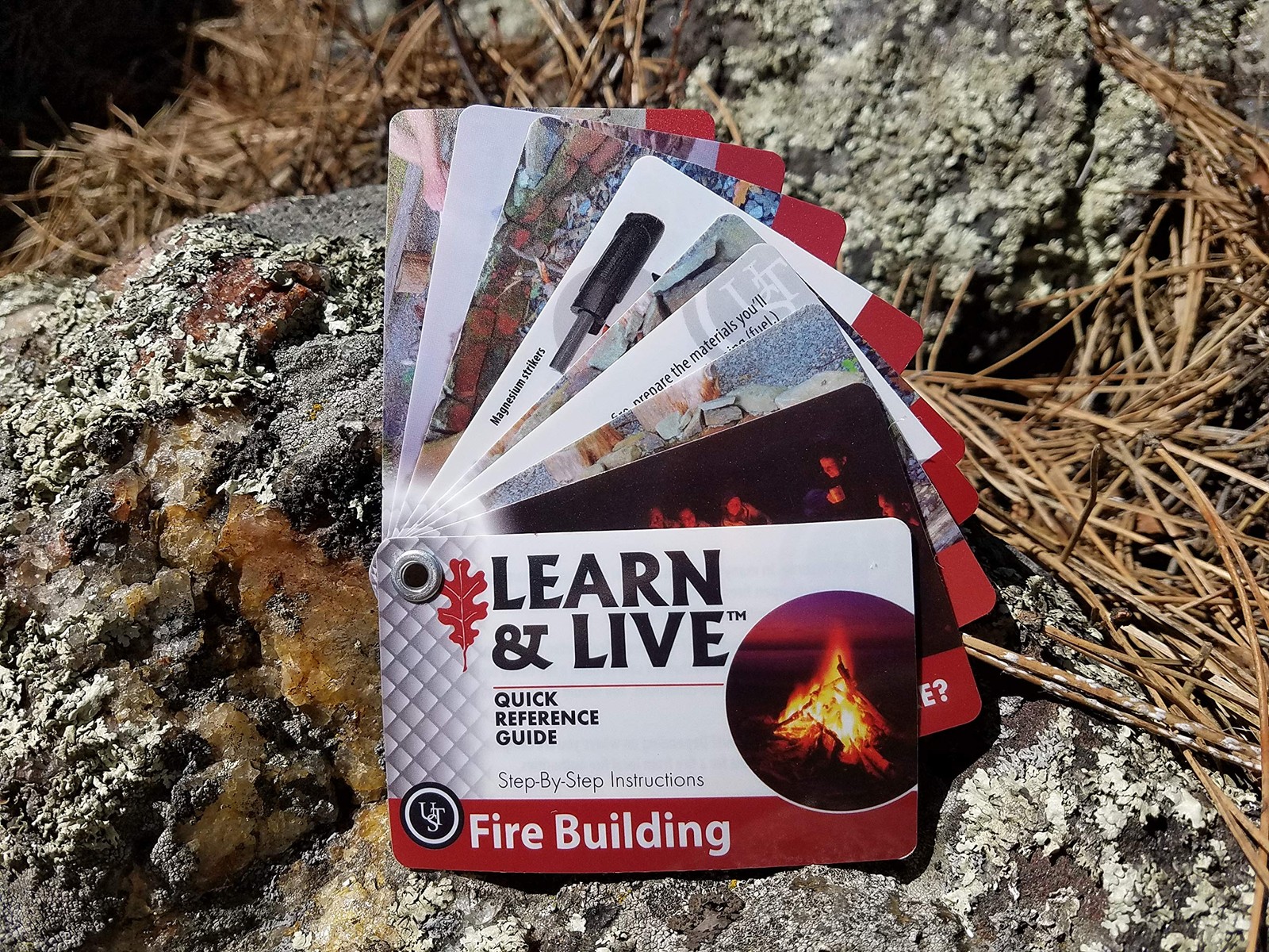 UST Learn & Live Educational Card Set – Fire Building