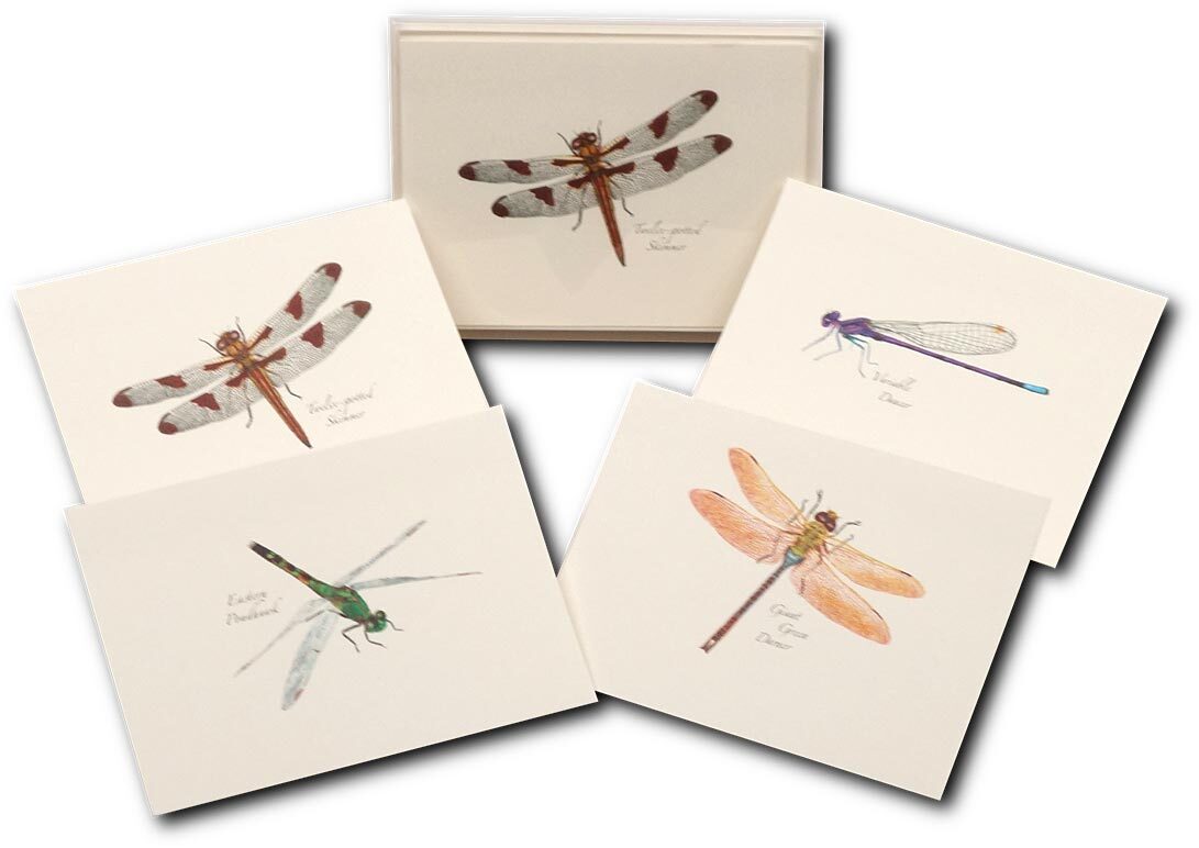 Dragonfly Delight: Earth, Sky, and Water Nature Note Cards – Perfect for Gifts!